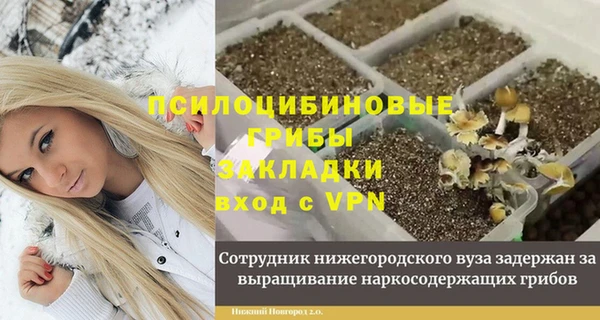 прущая мука Алексин