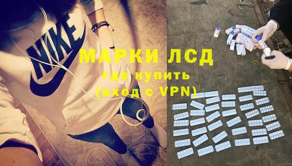 прущие грибы Алзамай